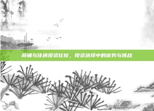 商铺与住房投资比较，投资选择中的优势与挑战