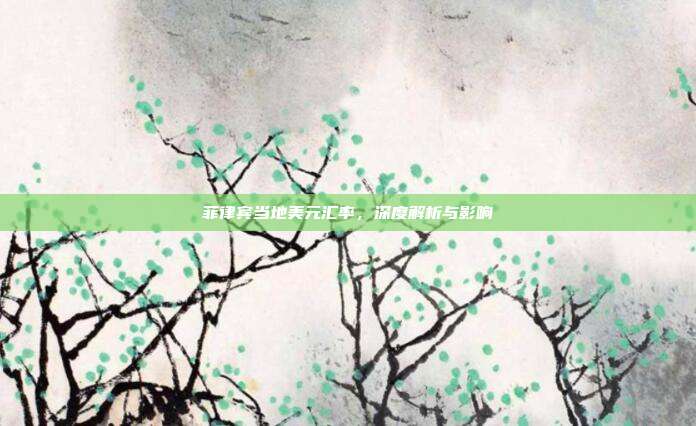 菲律宾当地美元汇率,深度解析与影响
