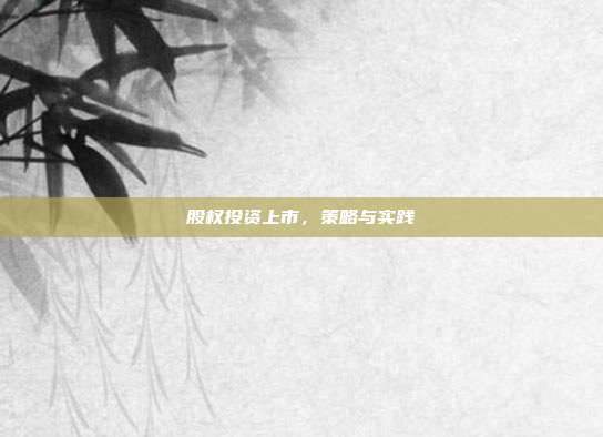 股权投资上市,策略与实践
