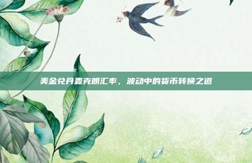 美金兑丹麦克朗汇率,波动中的货币转换之道