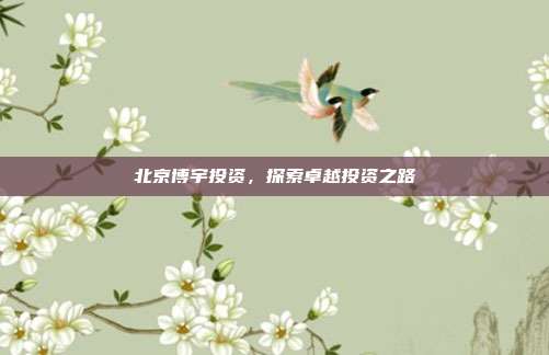 北京博宇投资,探索卓越投资之路