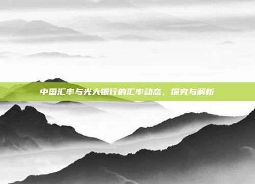 中国汇率与光大银行的汇率动态,探究与解析