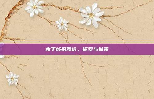 赤子城招股价,探索与前景