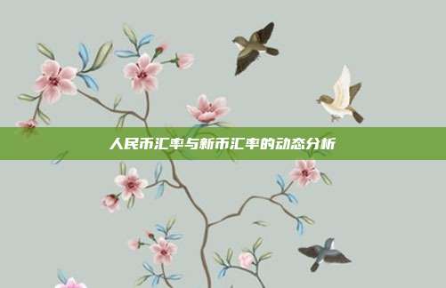 人民币汇率与新币汇率的动态分析