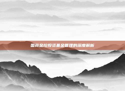 国商金控投资基金管理的深度解析