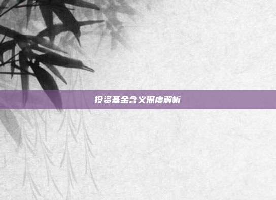 投资基金含义深度解析