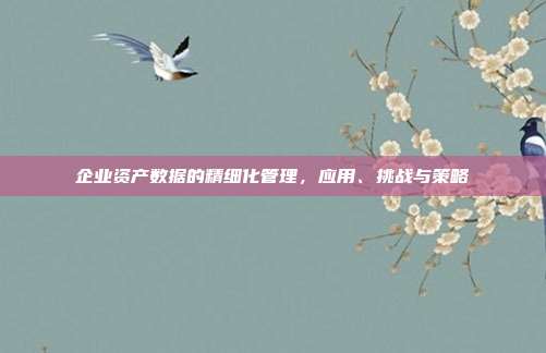 企业资产数据的精细化管理,应用、挑战与策略