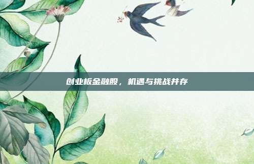 创业板金融股,机遇与挑战并存