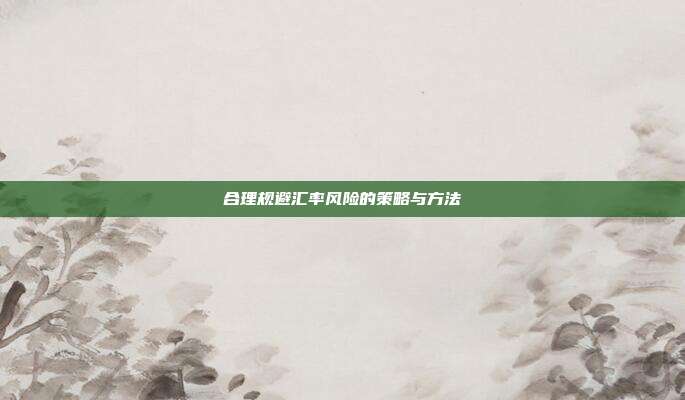 合理规避汇率风险的策略与方法