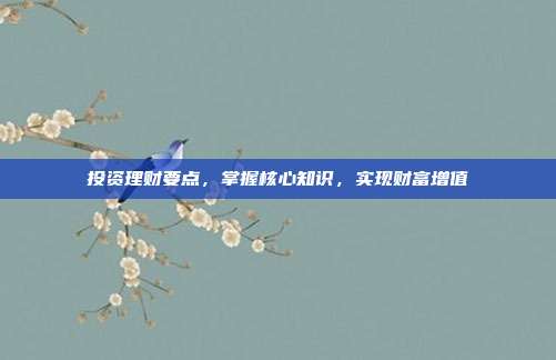 投资理财要点,掌握核心知识,实现财富增值