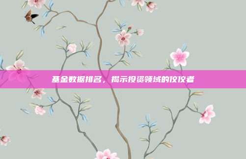 基金数据排名，揭示投资领域的佼佼者
