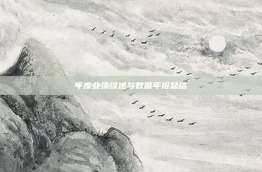 年度业绩综述与数据年报总结