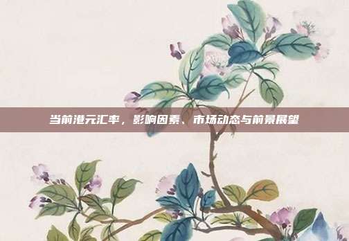 当前港元汇率,影响因素、市场动态与前景展望