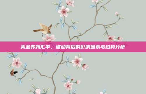 美金苏姆汇率,波动背后的影响因素与趋势分析