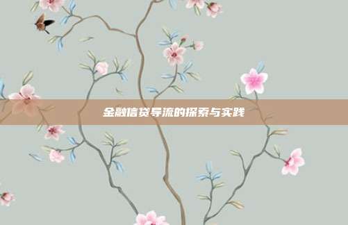 金融信贷导流的探索与实践