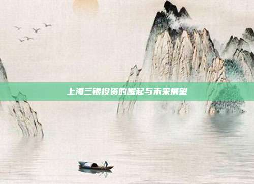 上海三银投资的崛起与未来展望