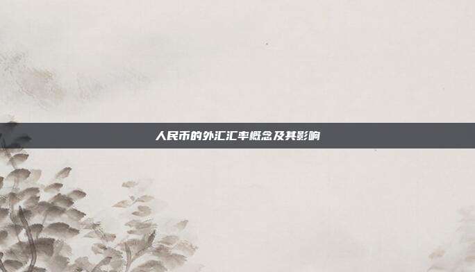 人民币的外汇汇率概念及其影响
