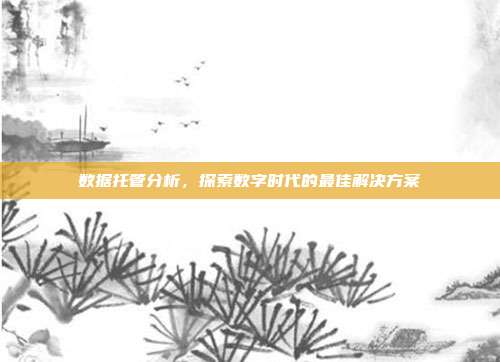 数据托管分析,探索数字时代的最佳解决方案