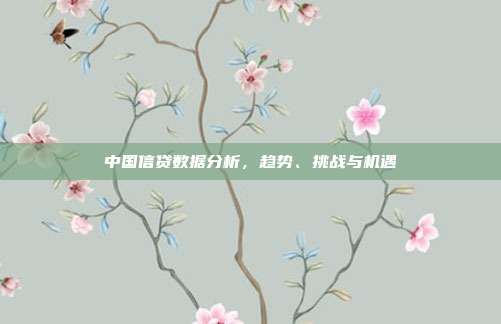 中国信贷数据分析,趋势、挑战与机遇