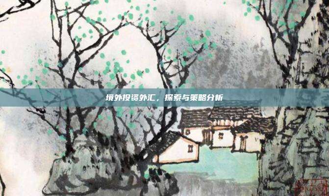 境外投资外汇,探索与策略分析