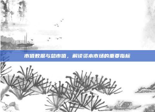 市值数据与总市值,解读资本市场的重要指标