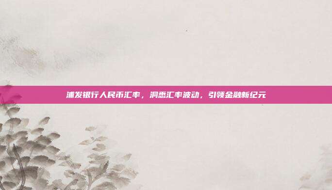 浦发银行人民币汇率,洞悉汇率波动,引领金融新纪元