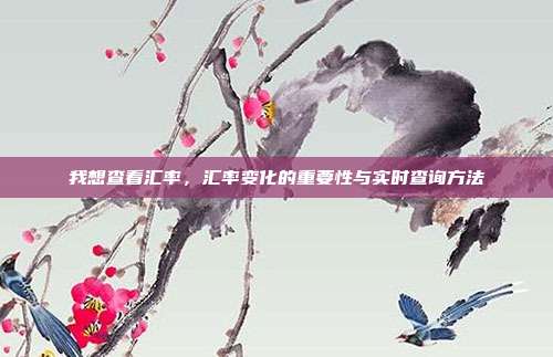 我想查看汇率,汇率变化的重要性与实时查询方法