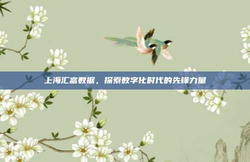上海汇富数据,探索数字化时代的先锋力量