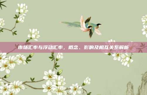 市场汇率与浮动汇率，概念、影响及相互关系解析