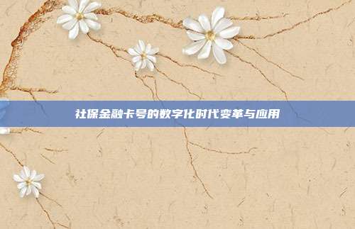 社保金融卡号的数字化时代变革与应用
