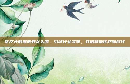 医疗大数据服务龙头股,引领行业变革,开启智能医疗新时代
