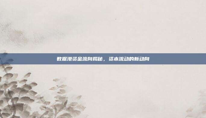 数据港资金流向揭秘，资本流动的新动向