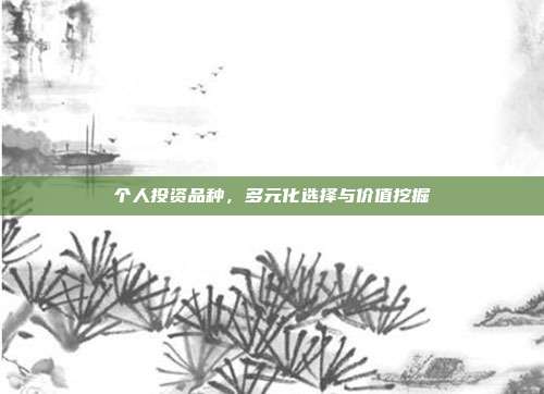 个人投资品种,多元化选择与价值挖掘