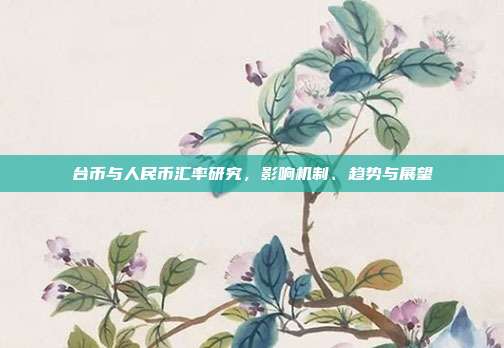 台币与人民币汇率研究,影响机制、趋势与展望