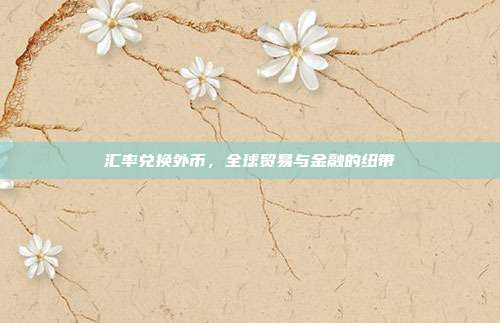 汇率兑换外币,全球贸易与金融的纽带
