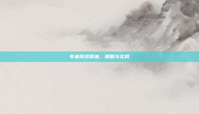 专业投资原油,策略与实践