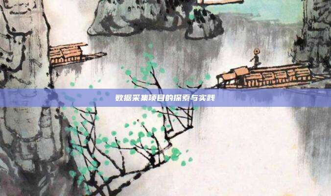 数据采集项目的探索与实践