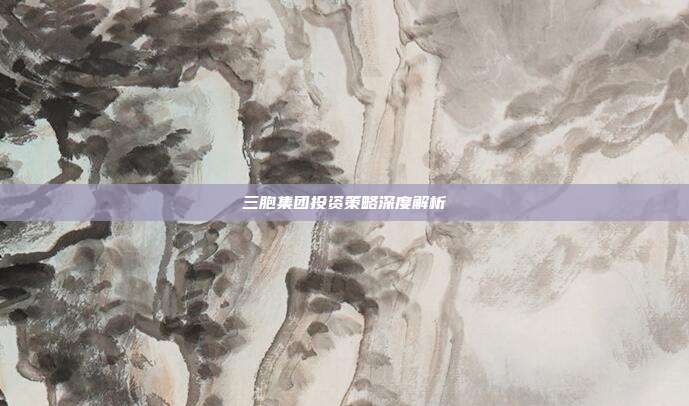 三胞集团投资策略深度解析