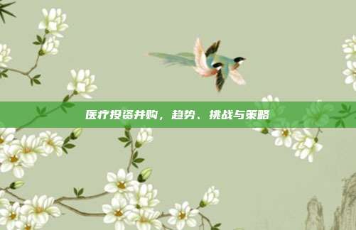 医疗投资并购,趋势、挑战与策略