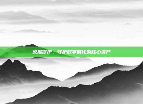 数据保护,守护数字时代的核心资产