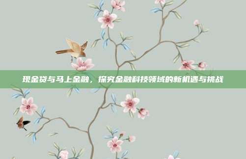 现金贷与马上金融,探究金融科技领域的新机遇与挑战