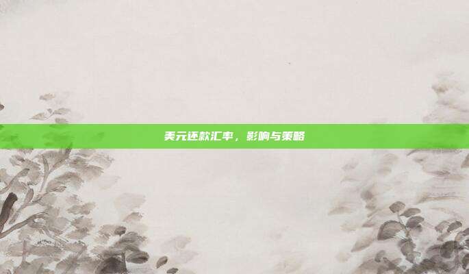 美元还款汇率，影响与策略