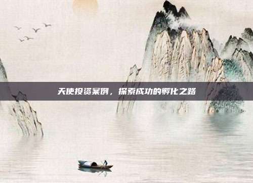 天使投资案例，探索成功的孵化之路