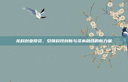 龙科创业投资,引领科技创新与资本融合的新力量