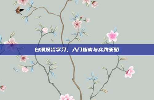 白银投资学习,入门指南与实践策略