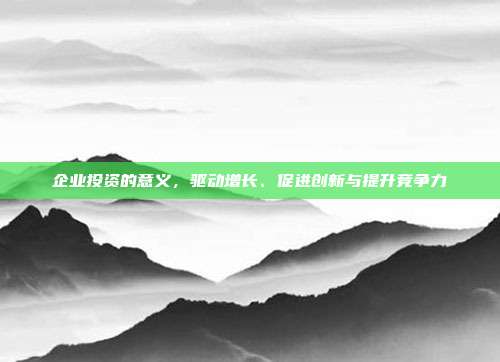 企业投资的意义,驱动增长、促进创新与提升竞争力