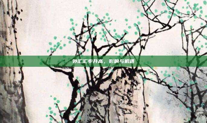 外汇汇率升高,影响与机遇