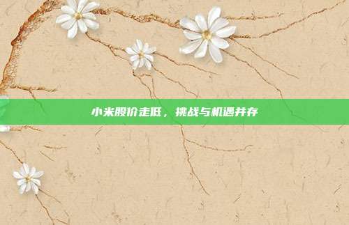 小米股价走低,挑战与机遇并存