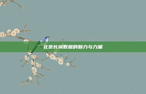 北京长城数据的魅力与力量