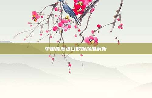 中国能源进口数据深度解析